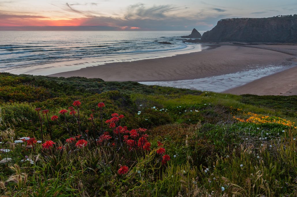 Playa de odeceixe