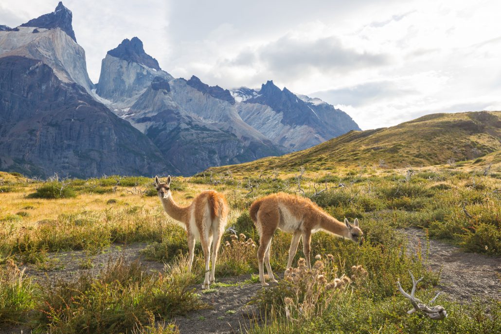 Qué ver en La Patagonia