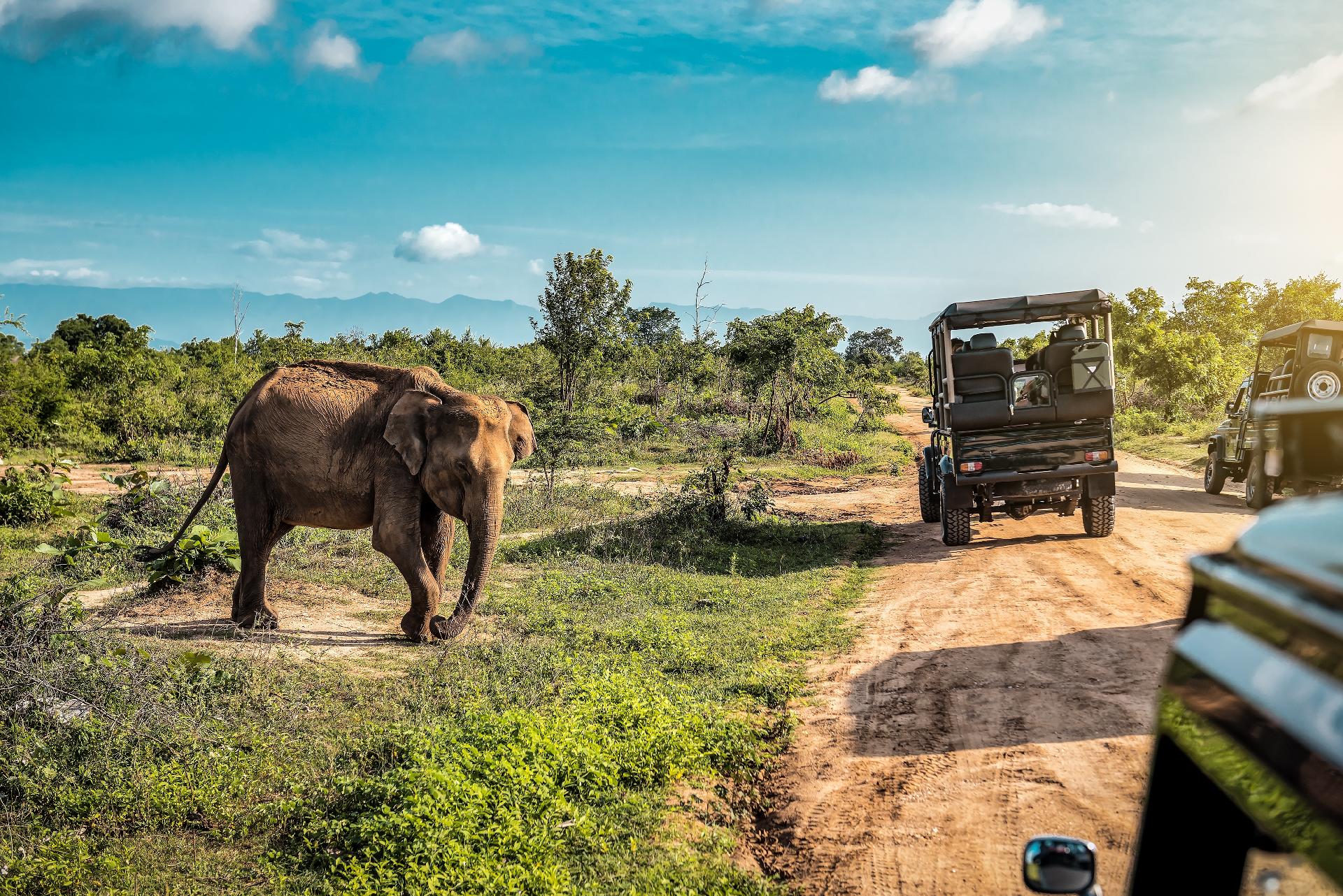 Paisaje de Sri Lanka