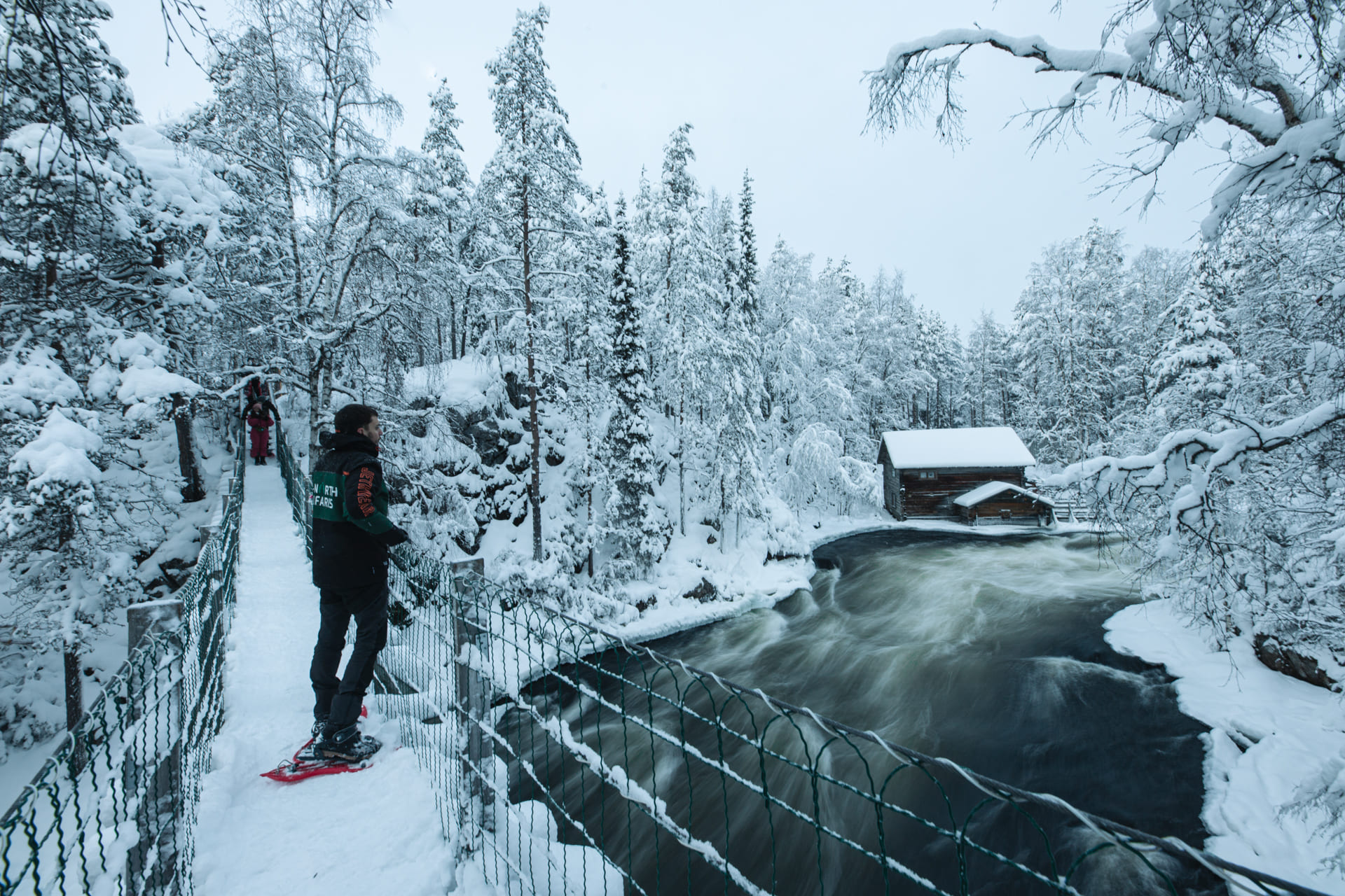Oulanka National Park Snowshoeing