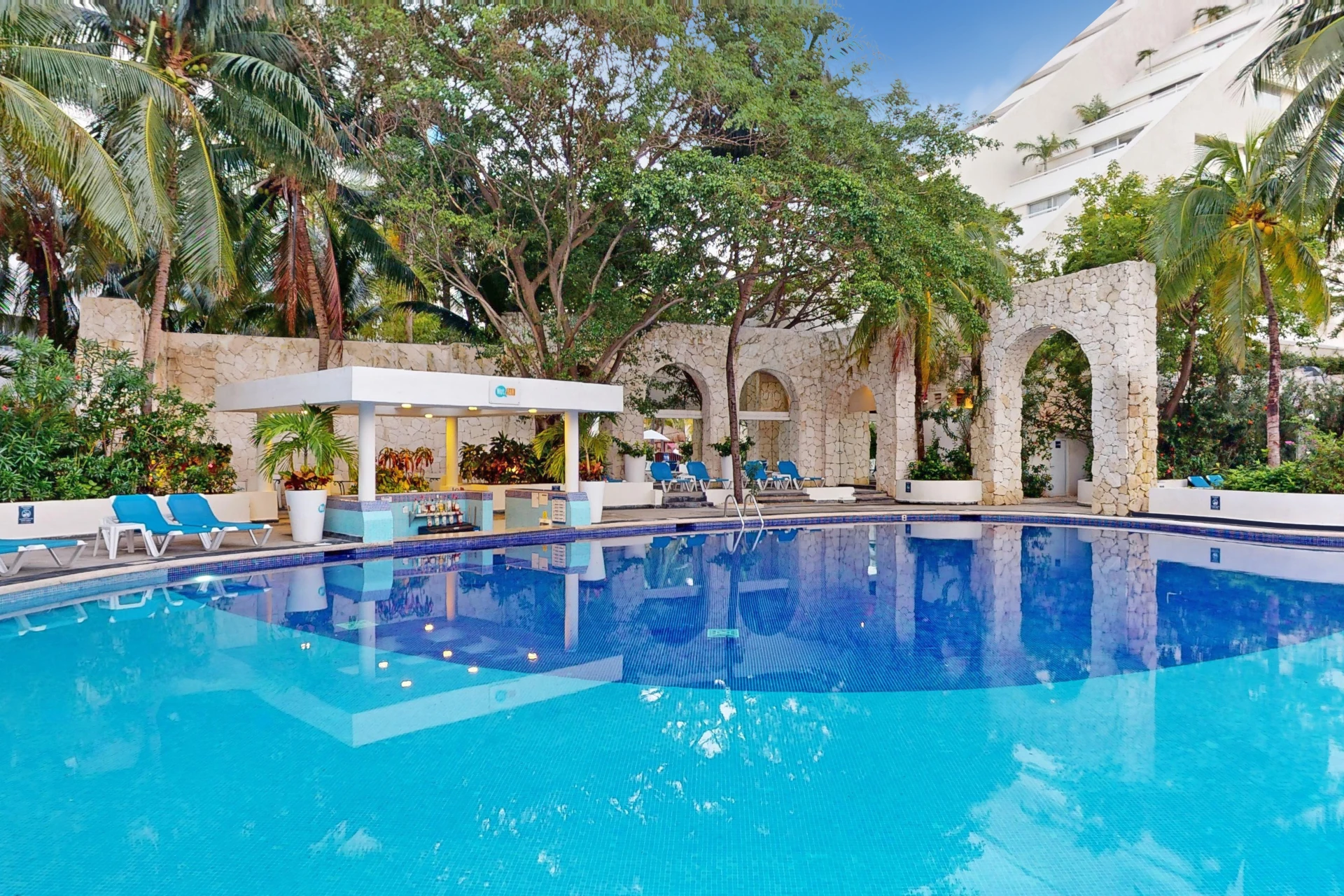 oasis-palm-2